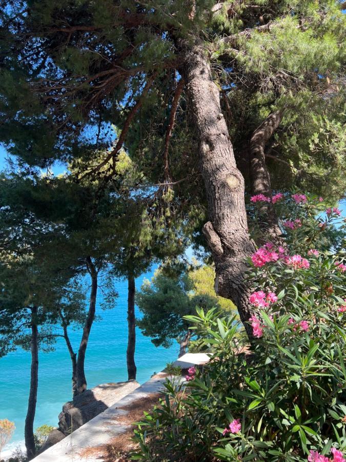Sunny Breeze Apartment Vlorë Eksteriør bilde